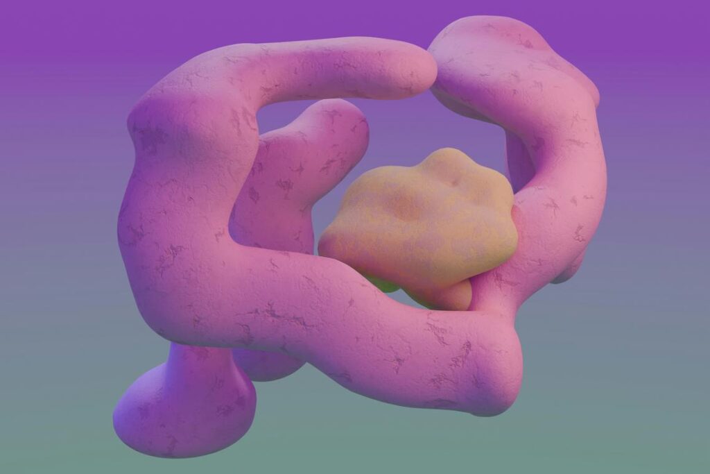 Digestive Optimization