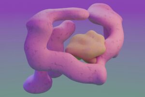 Digestive Optimization