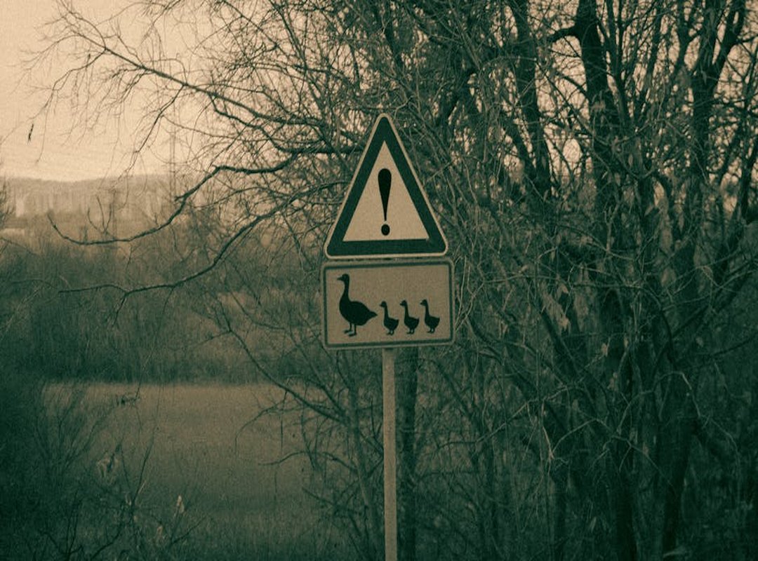 Esports Trends and Analysis