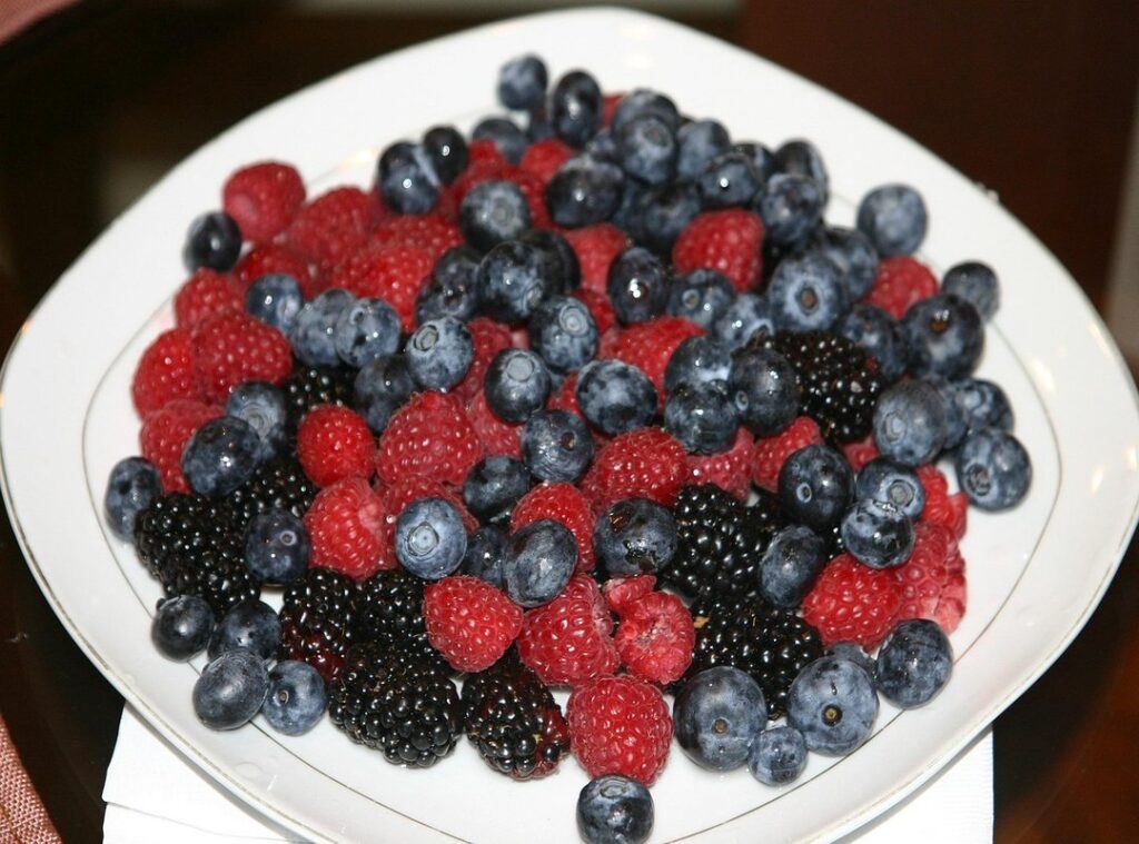 Healthiness Shmgfit