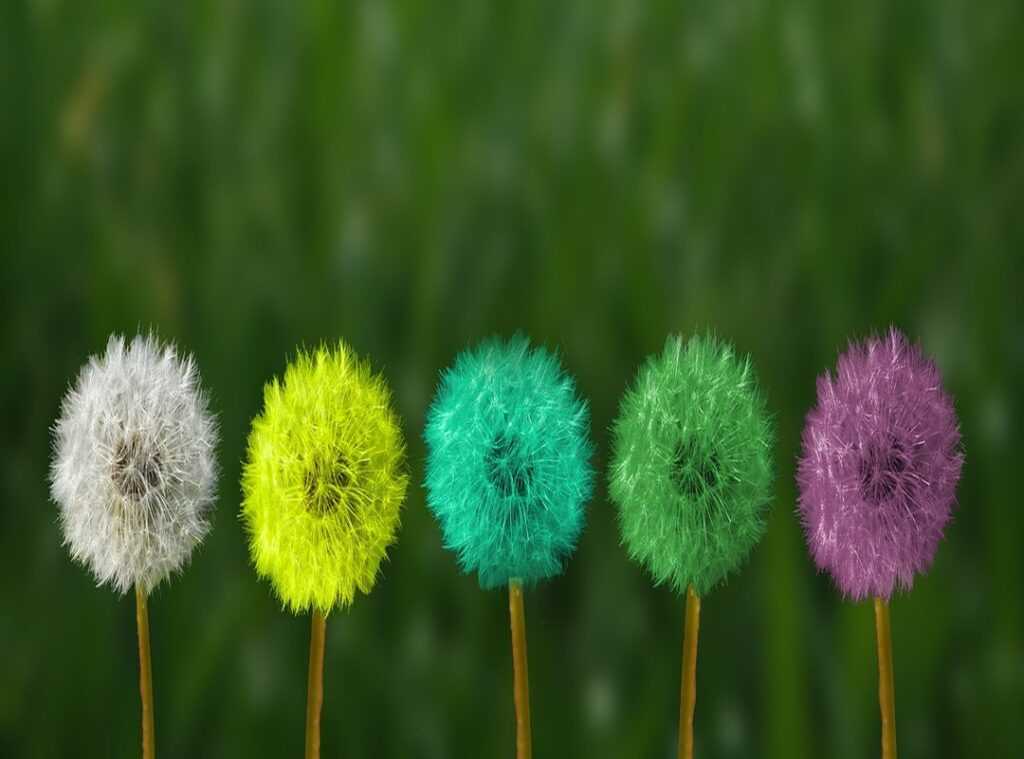 mindfulness boosts creativity